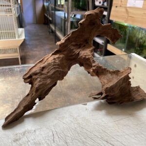 Tronco Shrimp wood 15-25cm