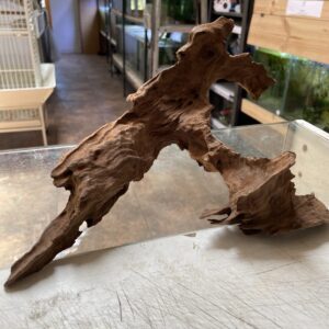 Tronco Shrimp wood 15-25cm