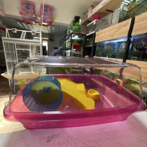 Jaula acrilica alvin media