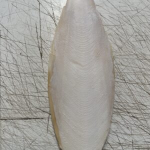 Hueso de jibia granel (9-11cm)
