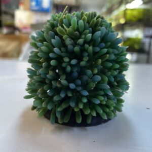 Adorno bola musgo plastico