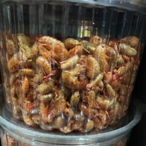 Pulga Pote 60 g