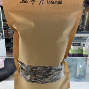 Semilla Maravilla grande AC 1KG Granel