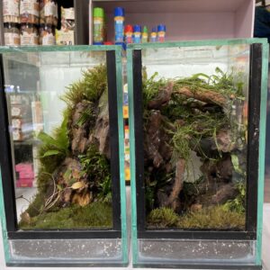 Terrario natural urna