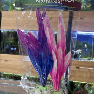 Set de 2 plantas de 28x6 cm