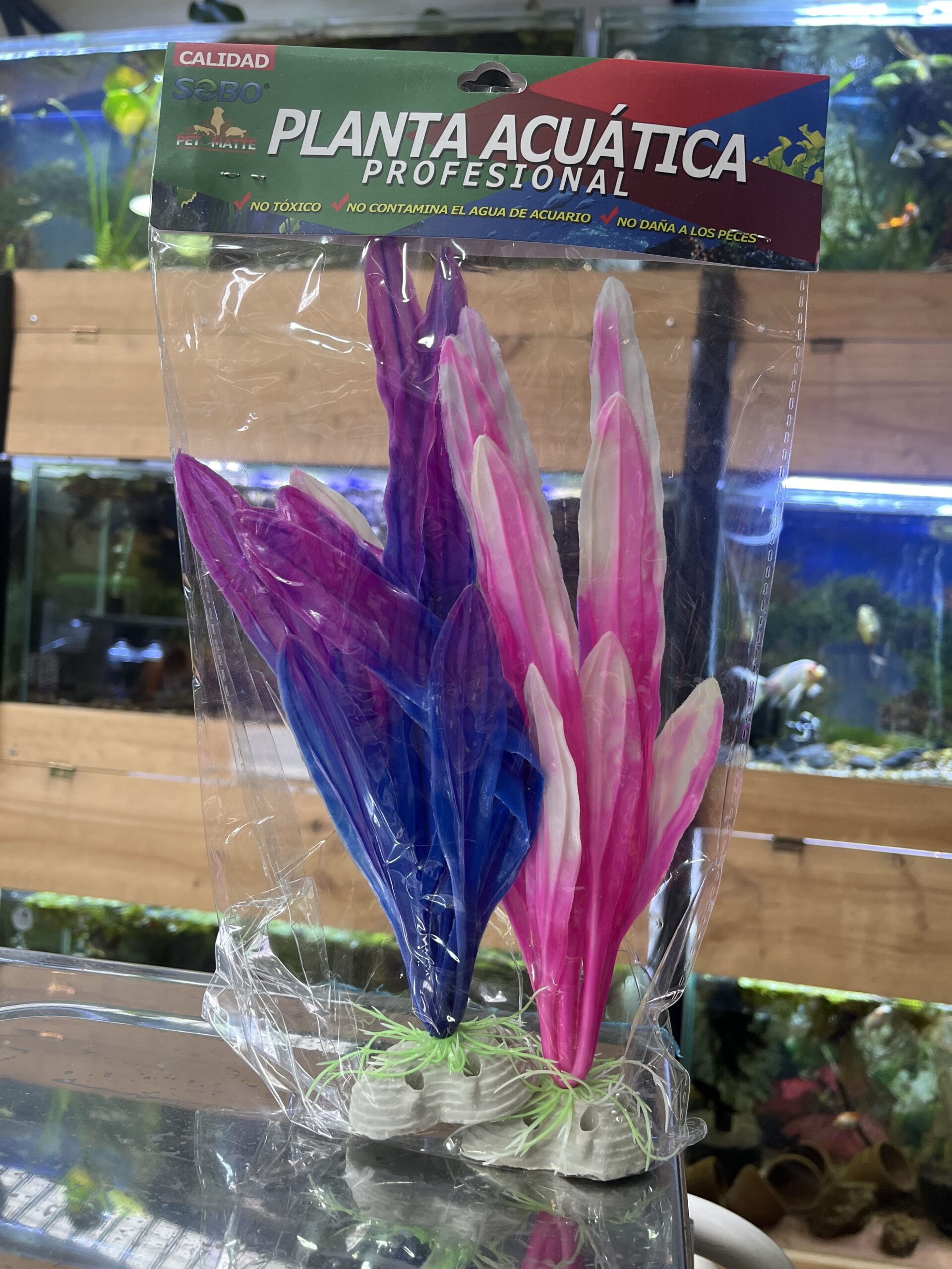 Set de 2 plantas de 28x6 cm