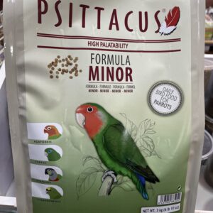 Psittacus minor 3kg