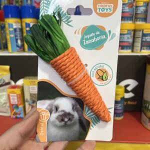 Corn e carrot small